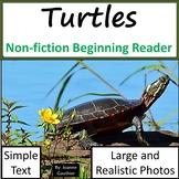 Turtles: Non-fiction animal e-book for beginning readers