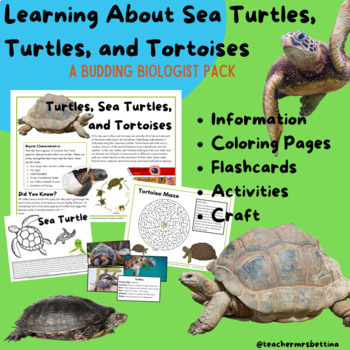 Preview of Turtles, Sea Turtles, and Tortoises - Budding Biologist Pack