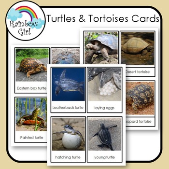 Preview of Turtles & Tortoises