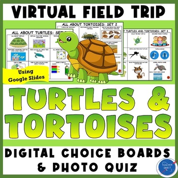 Preview of Turtles & Tortoises Virtual Field Trip | Habitats Zoo Aquarium Desert Ocean
