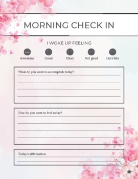Preview of Twice a Day Check-Ins - Morning/Evening