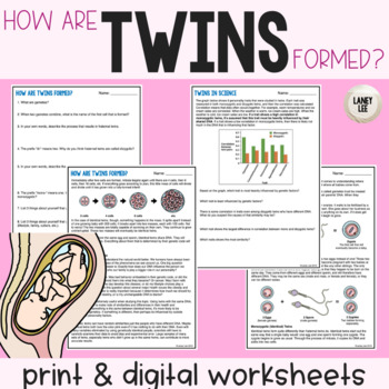Preview of Twins - Reading Comprehension Worksheets
