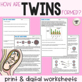Twins - Reading Comprehension Worksheets