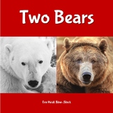 Two Bears (Compare and Contrast Polar Bear and Brown Bear)