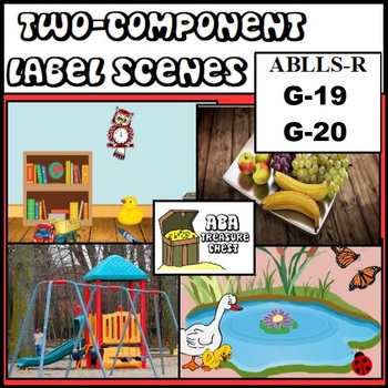 Preview of Two Component Labels ABLLS-R G19 G20 ABA DTT Autism
