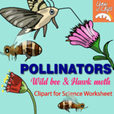 Two Pollinators | Wild bee, hawk moth and flower nectar clipart