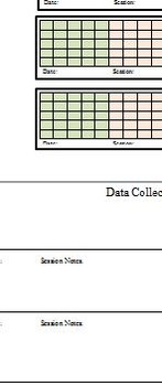 Preview of Two-Sided Data Collection Form