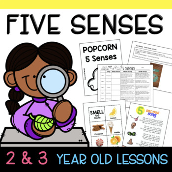 Preview of Two and Three Year Old FIVE SENSES Thematic Unit Lesson Plans