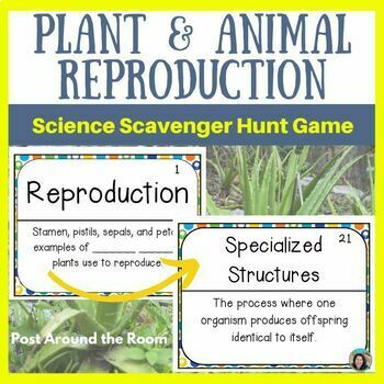 Plant and Animal Reproduction Game - Genetics - Science Scavenger Hunt