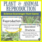 Plant and Animal Reproduction Game - Genetics - Science Sc