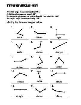 Types of Angles Worksheet by Amber Mealey | Teachers Pay Teachers