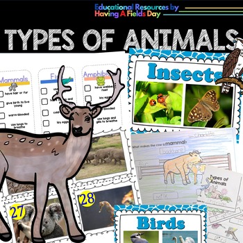 Preview of Types of Animals Mini Posters, Picture Task Cards, and Worksheets