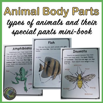 Preview of Animal Body Parts Mini Book
