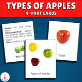 Types of Apples Montessori 4-part Cards Activity | Identif