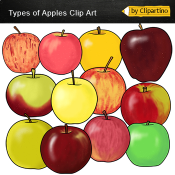Preview of Types of Apples clip art Commercial use