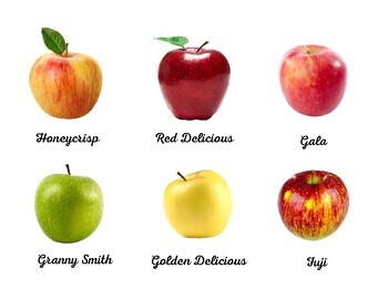 Types of Apples multiple matching activities (print & cursive) | TPT