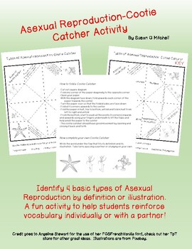 Preview of Types of Asexual Reproduction-Cootie Catcher Activity - Digital or Printable