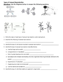 Types of Asexual Reproduction Review - C