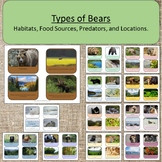 Types of Bears Habitats, Food, Continents, Predators Monte