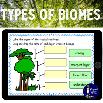 Types of Biomes Worksheets and BOOM Cards by Dressed in Sheets by Soumara