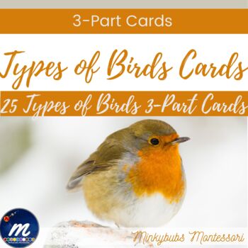 Preview of Types of Birds 3 Part Cards Montessori Classification Matching Memory Vocabulary