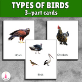 Types of Birds Montessori 3-part cards