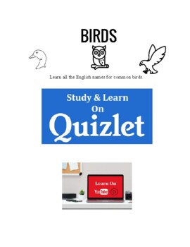 Preview of Types of Birds - Vocabulary Worksheets. ESL. EFL. Flashcards.