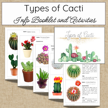 Preview of Types of Cacti
