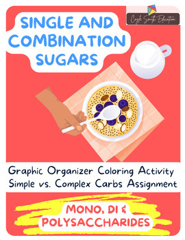 Preview of Types of Carbohydrates- Coloring Pg+Activity - MONO-DI-POLYSACCHARIDES