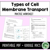 Types of Cell Membrane Transport Worksheet (Printable & Di