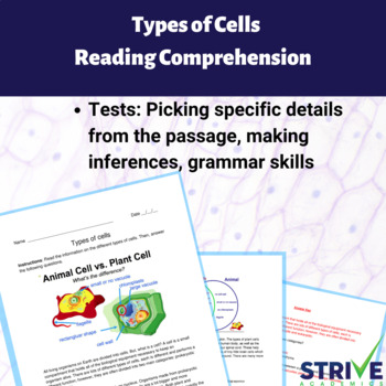 Preview of Types of Cells English Reading Comprehension Worksheet