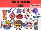 cells of the human body clipart
