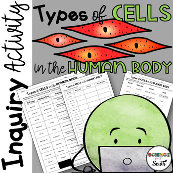 Preview of Types of Cells in the Human Body Inquiry Activity