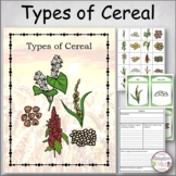 Types of Cereal Research, Flashcards and Matching Activities