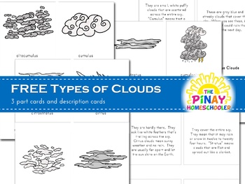 Preview of Types of Clouds 3 Part Cards and Fact Cards