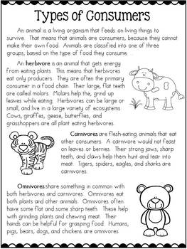 Types of Consumers BUNDLE: Carnivores, Herbivores, and Omnivores