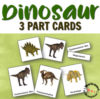 Preview of Types of Dinosaurs 3 Part Cards