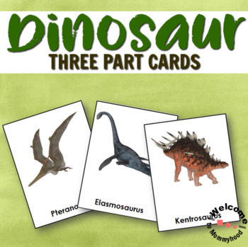 Types of Dinosaurs 3 Part Cards by Welcome to Mommyhood Montessori Learning