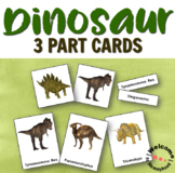 Types of Dinosaurs 3 Part Cards