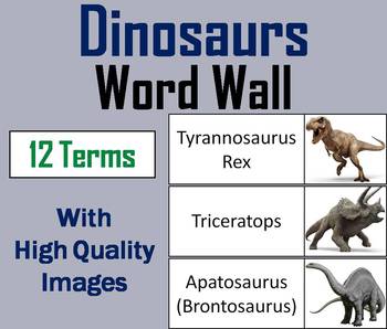 Preview of Types of Dinosaurs Word Wall Cards