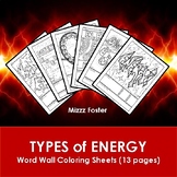 Types of Energy Word Wall Coloring Sheets (13 pgs.)