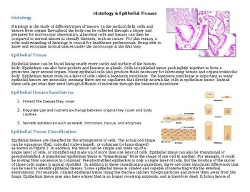 Preview of Types of Epithelial Tissues