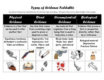 Preview of Types of Evidence Foldable