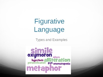 Preview of Types of Figurative Language Definitions and Examples