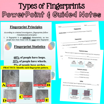 Preview of Types of Fingerprints - PowerPoint & Guided Notes
