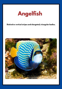 Preview of Types of Fish and Their Characteristics  Flashcards
