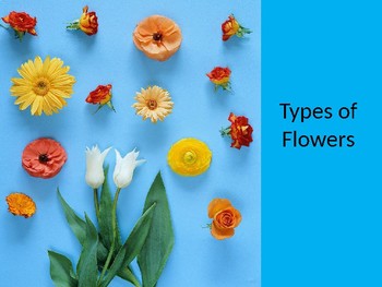 Preview of Types of Flowers