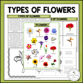 Types of Flowers Information Cards Coloring Tracing 3 Part