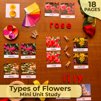 Preview of Types of Flowers Mini Unit, Flowers 3-part cards, Flowers Montessori Unit