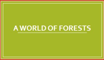 Preview of Types of Forests Power Point